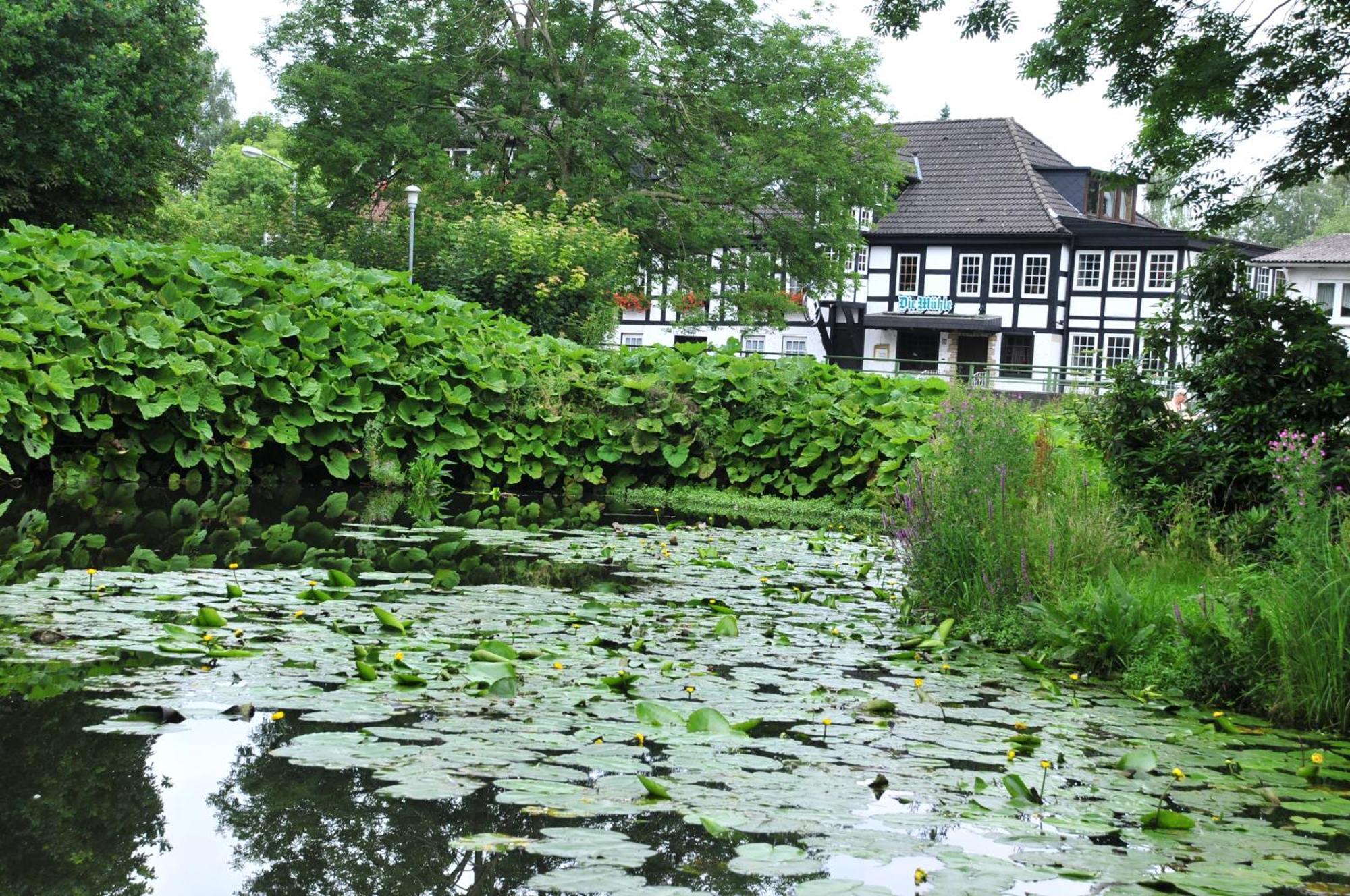 Akzent Hotel Zur Wasserburg - Hotel Garni Bed & Breakfast Harpstedt Exterior foto